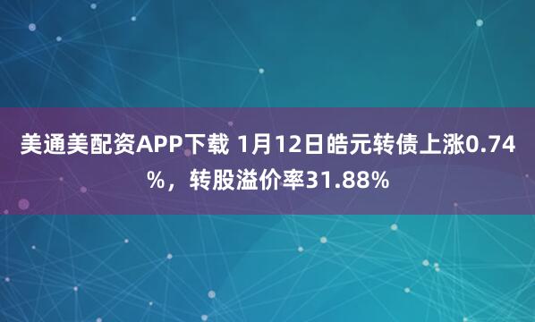 美通美配资APP下载 1月12日皓元转债上涨0.74%，转股溢价率31.88%