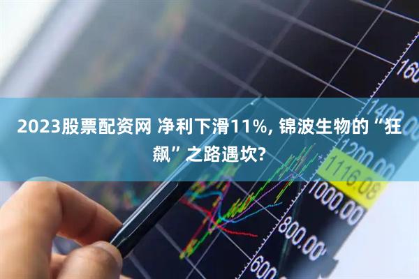 2023股票配资网 净利下滑11%, 锦波生物的“狂飙”之路遇坎?